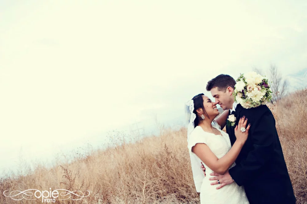 Image of wedding field picture