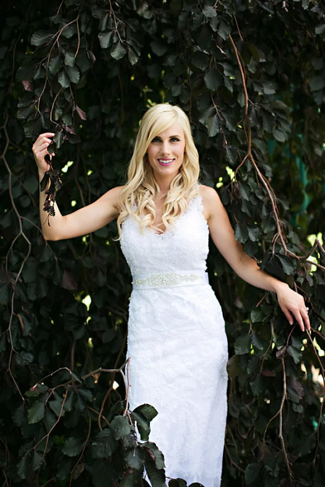 Image of lace wedding dress with dark tree salt lake city utah bridal